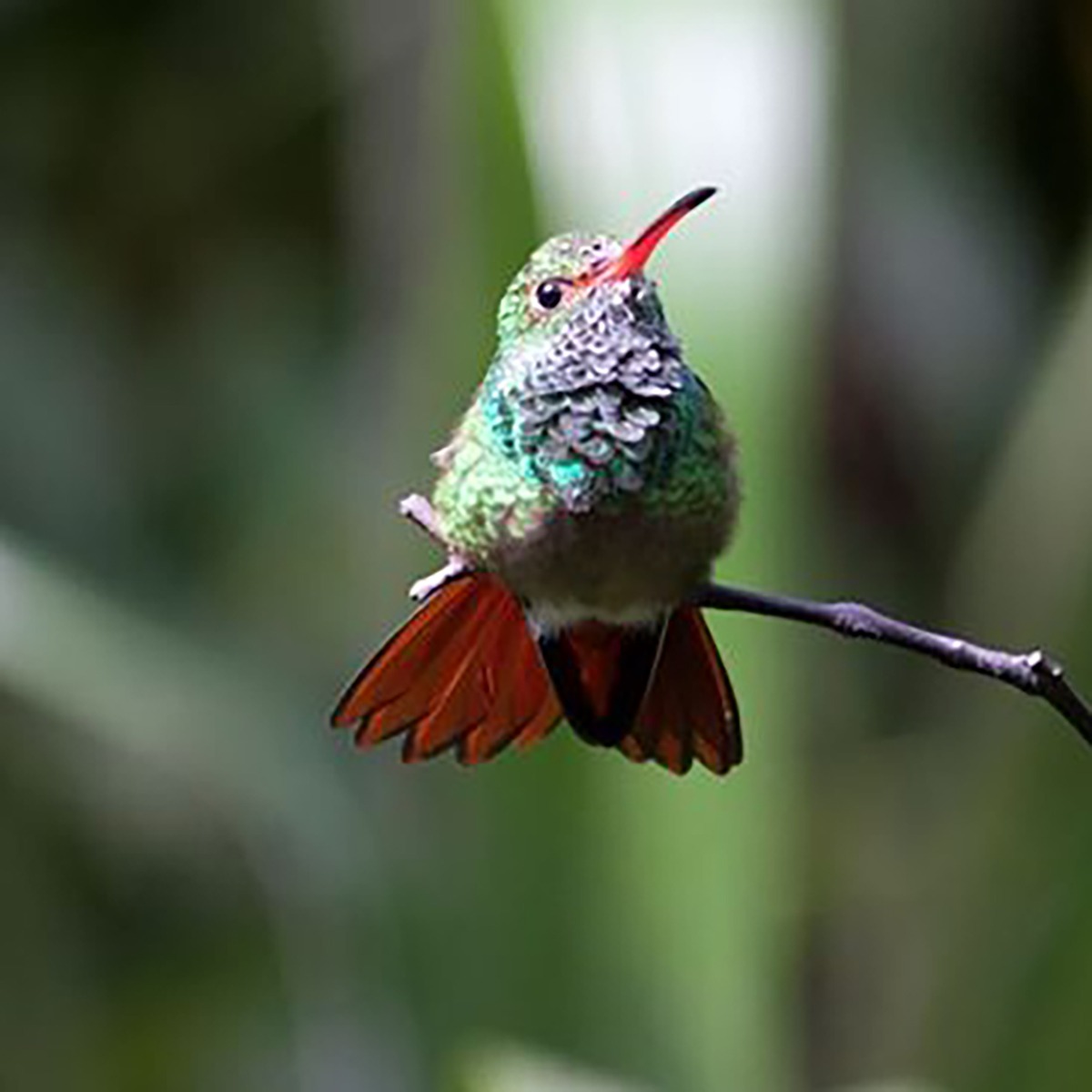 HOME [latitud0-ecuador.com]